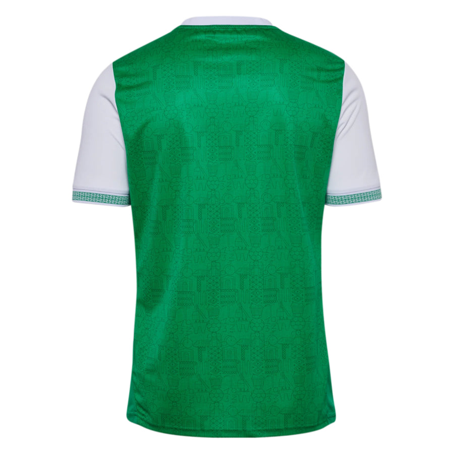 Maillot Saint Etienne Domicile Homme 2025 2026 Vert