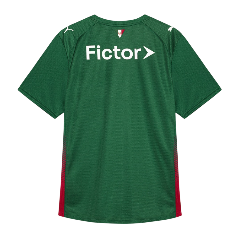 Maillot Palmeiras FC Domicile Homme 2026 2027