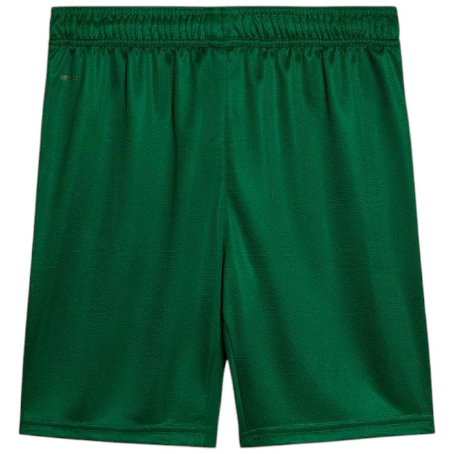 Maillot Kit Enfant Palmeiras Exterieur 2025 2026