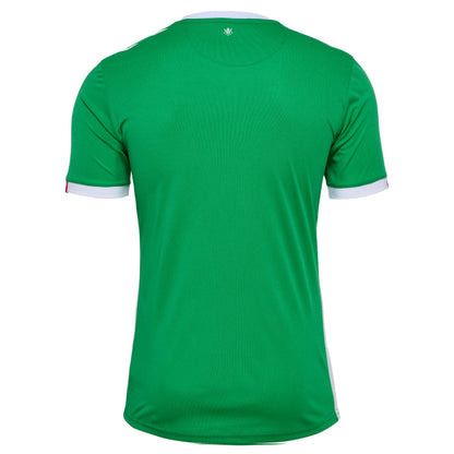 Maillot AS Saint-Etienne Domicile Homme 2024 2025