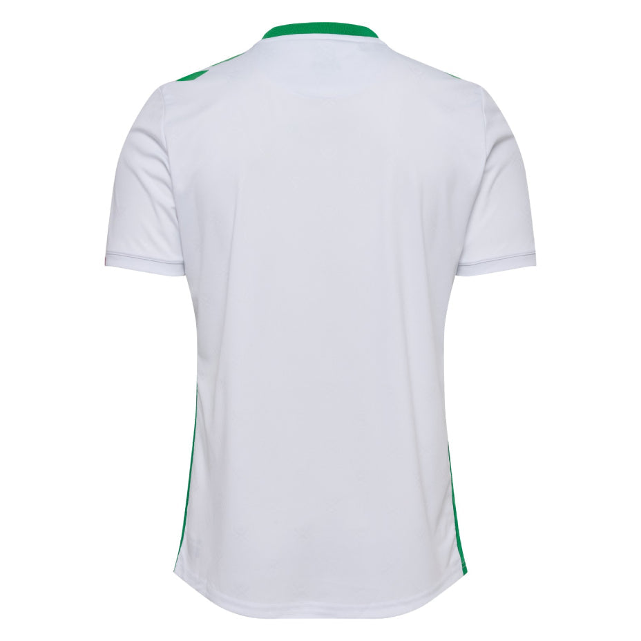 Maillot AS Saint-Etienne Exterieur Homme 2024 2025