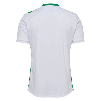 Maillot AS Saint-Etienne Exterieur Homme 2024 2025