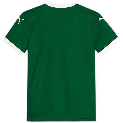 Maillot Kit Enfant Palmeiras Domicile 2025 2026