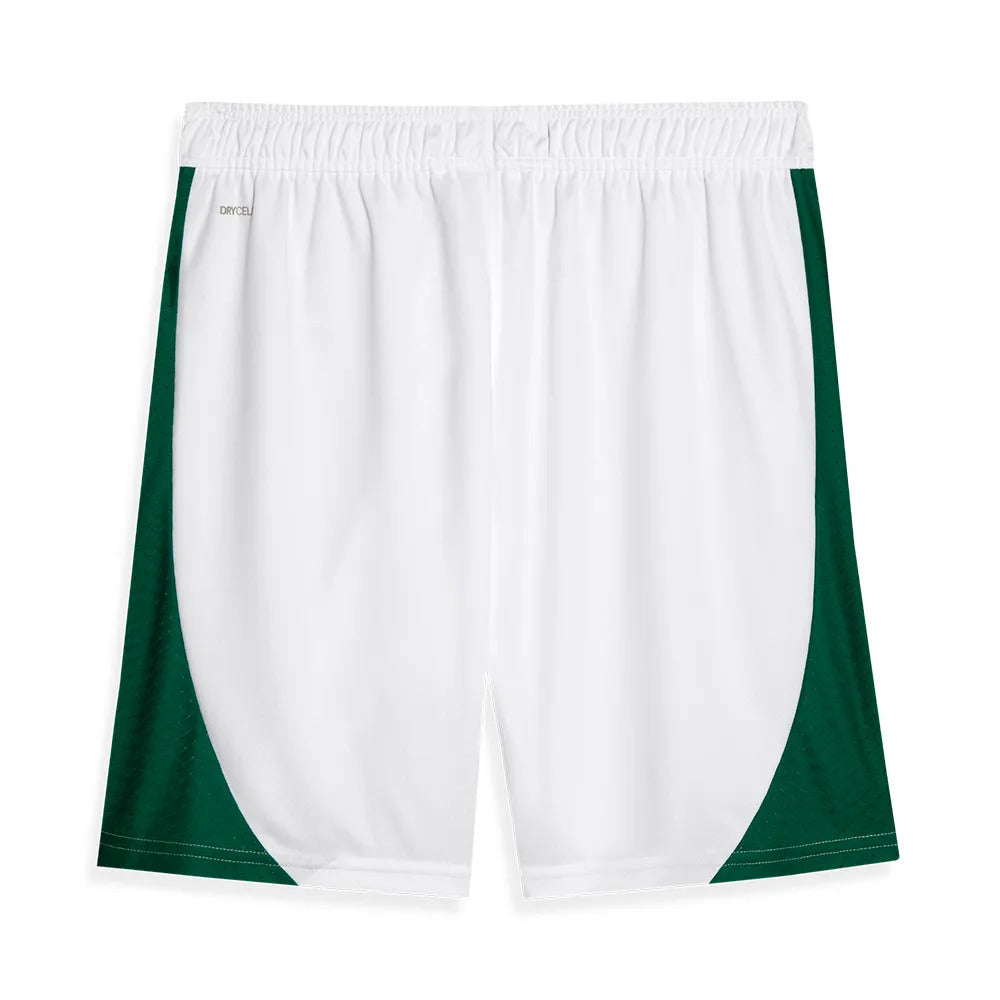 Maillot Enfant Palmeiras Domicile 2024 2025