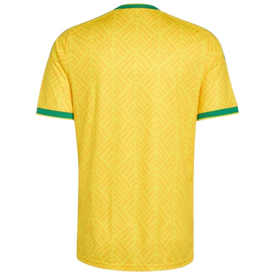 Maillot Afrique du Sud Homme Domicile 2026 2027