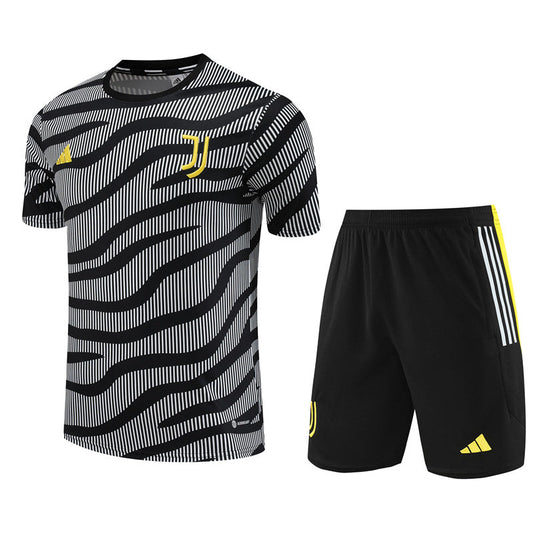 Maillot Training Juventus Gris Rayures Homme/Enfant 2023-2024