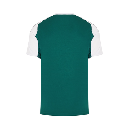 Maillot Panathinaikos Domicile 2 Homme 2025 2026