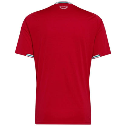 Maillot Pays de Galles Homme Domicile 2026 2027