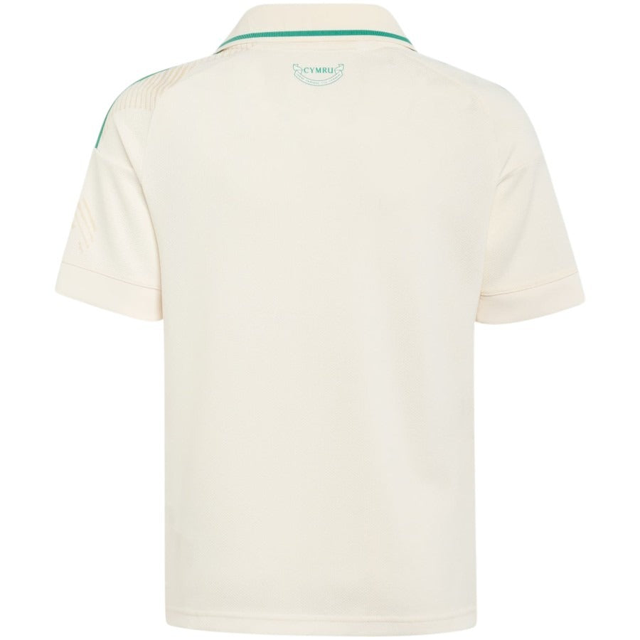 Maillot Pays de Galles Homme Exterieur 2026 2027