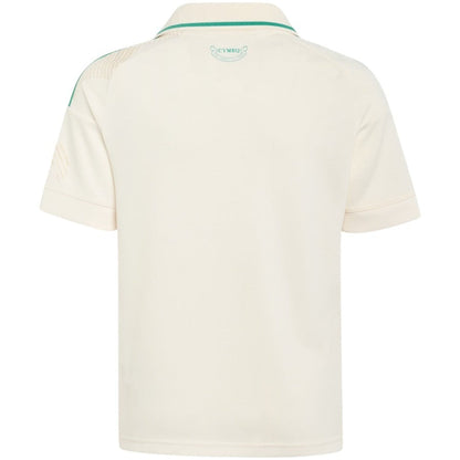 Maillot Pays de Galles Homme Exterieur 2026 2027