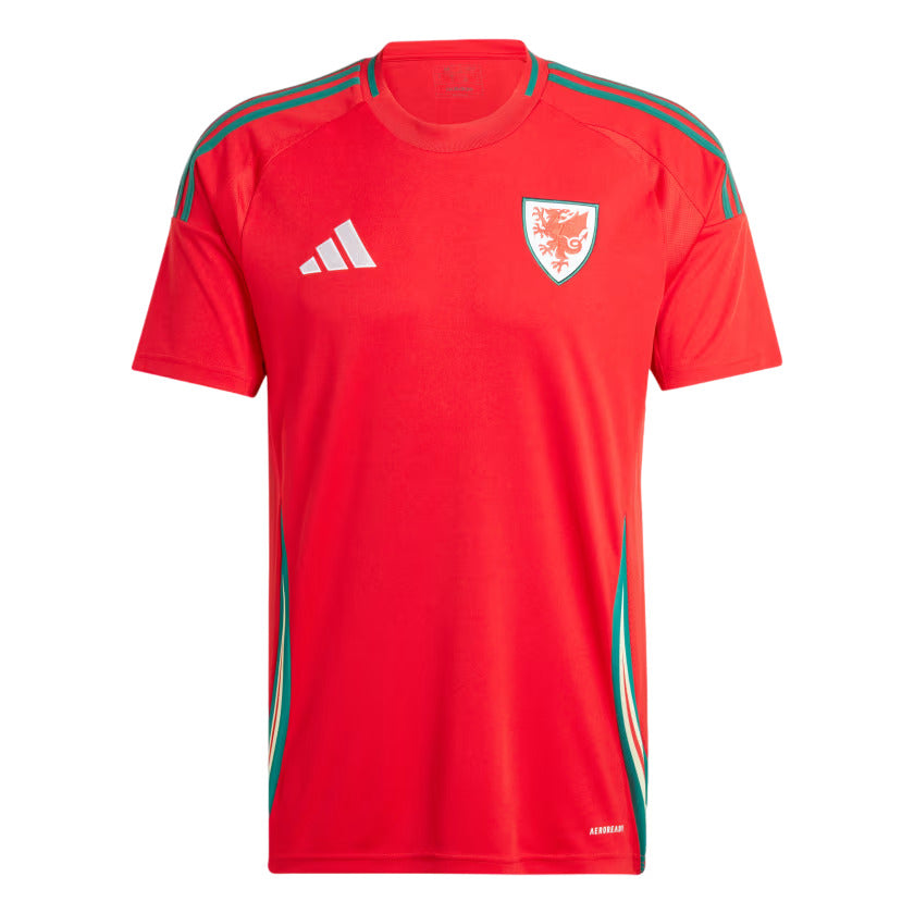 Maillot Pays de Galles Homme Exterieur 2024 2025