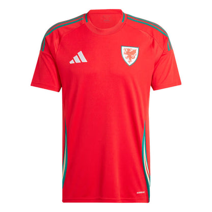 Maillot Pays de Galles Homme Exterieur 2024 2025
