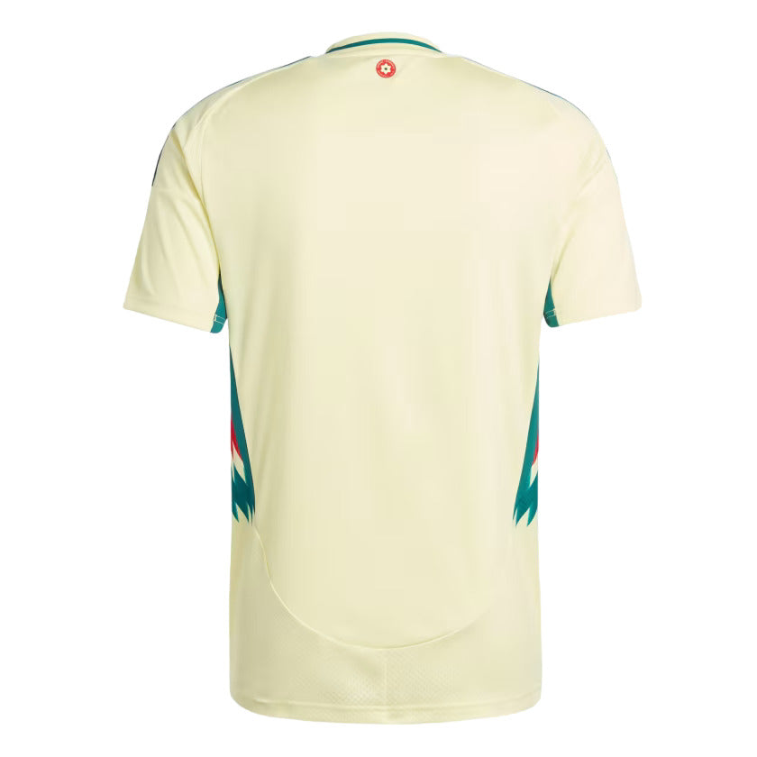 Maillot Pays de Galles Homme Exterieur 2024 2025