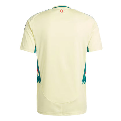 Maillot Pays de Galles Homme Exterieur 2024 2025