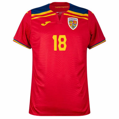 Maillot Roumanie R. Marin Homme Exterieur 2025 2026