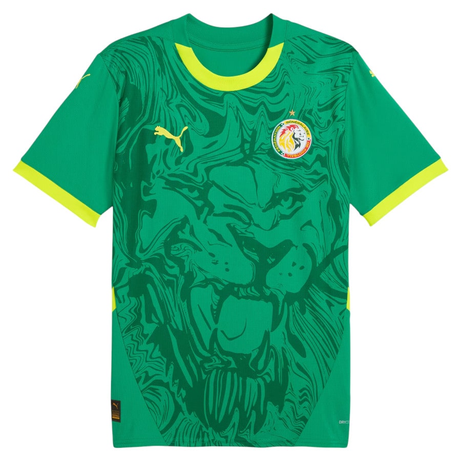 Maillot Senegal CAN Homme Exterieur 2025 2026