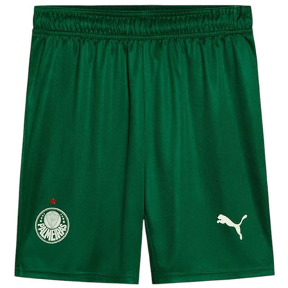 Maillot Kit Enfant Palmeiras Exterieur 2025 2026